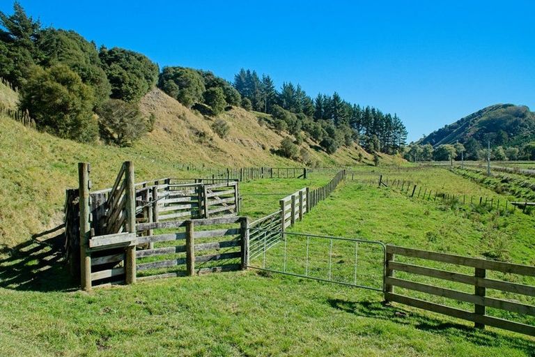 Photo of property in 1215 Wharekopae Road, Ngatapa, Gisborne, 4072