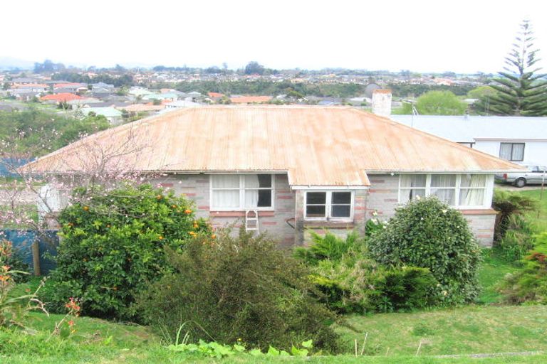 Photo of property in 155 Cambridge Road, Bethlehem, Tauranga, 3110