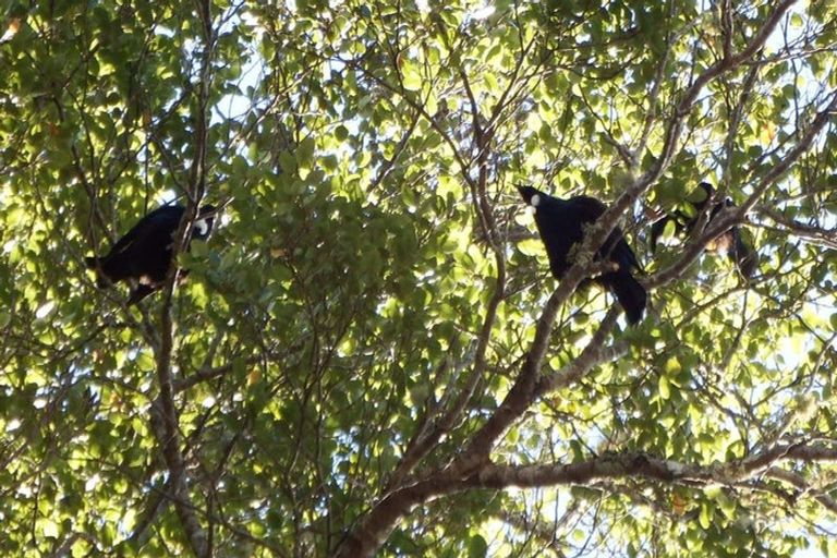 Photo of property in 22 Aragon Grove, Kingsley Heights, Upper Hutt, 5018