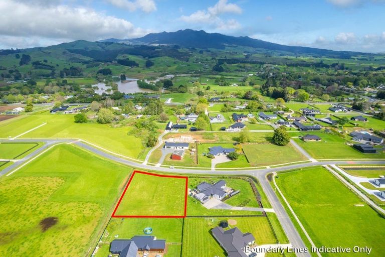Photo of property in 895 Collinson Street, Pirongia, 3802