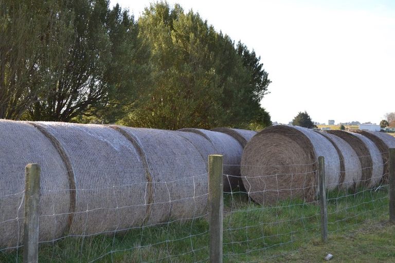 Photo of property in 1 James Street, Waimate, 7980