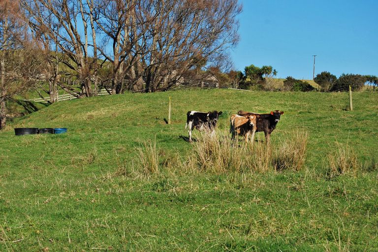 Photo of property in 27 Waterview Crescent, Kaiwaka, 0573