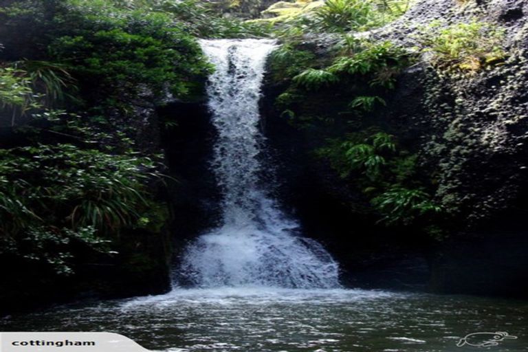 Photo of property in 128 Lone Kauri Road, Karekare, Auckland, 0772