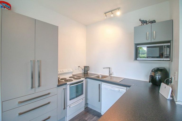 Photo of property in 141 Lagan Street, Bluff, 9814