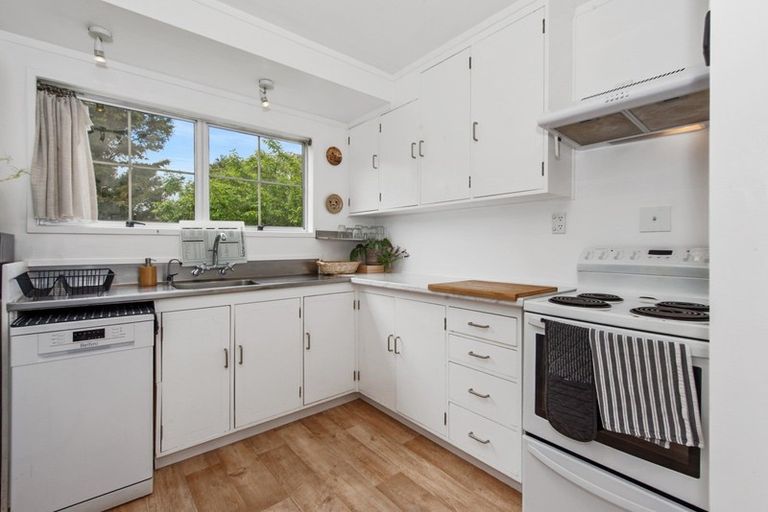 Photo of property in 62a Alison Street, Hamilton Lake, Hamilton, 3204