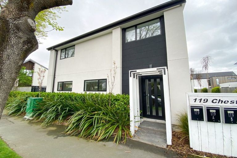 Photo of property in 119 Chester Street East, Christchurch Central, Christchurch, 8011