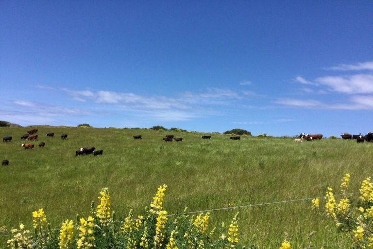 Photo of property in 310 Blackhead Road, Blackhead, Dunedin, 9076