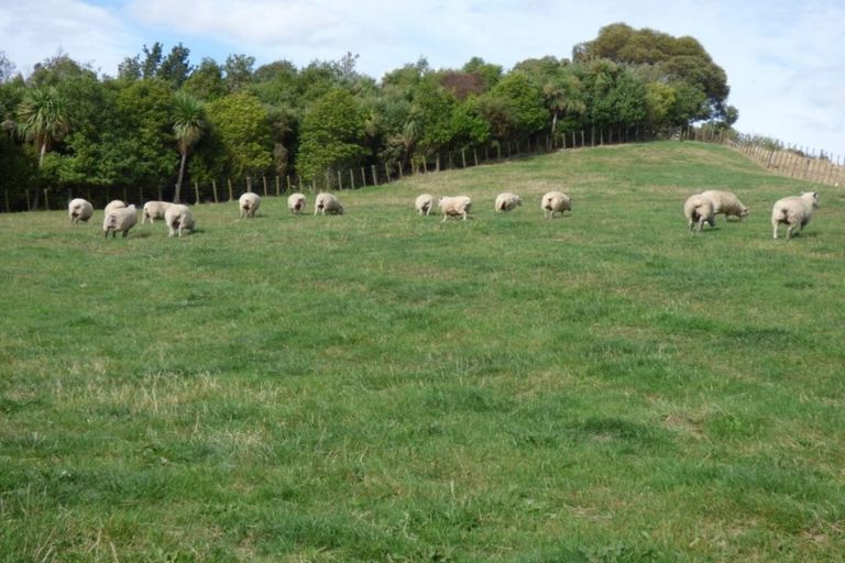 Photo of property in 42a Forest Hill Road, Aokautere, Palmerston North, 4471