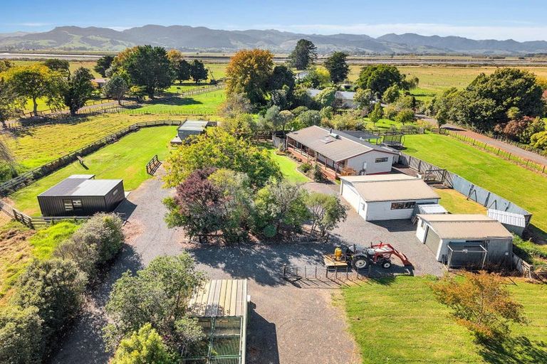 Photo of property in 161 Hauraki Road, Orongo, Thames, 3574
