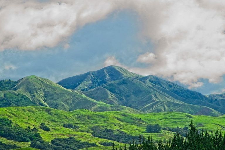 Photo of property in 276 Gaddums Hill Road, Outer Kaiti, Gisborne, 4010