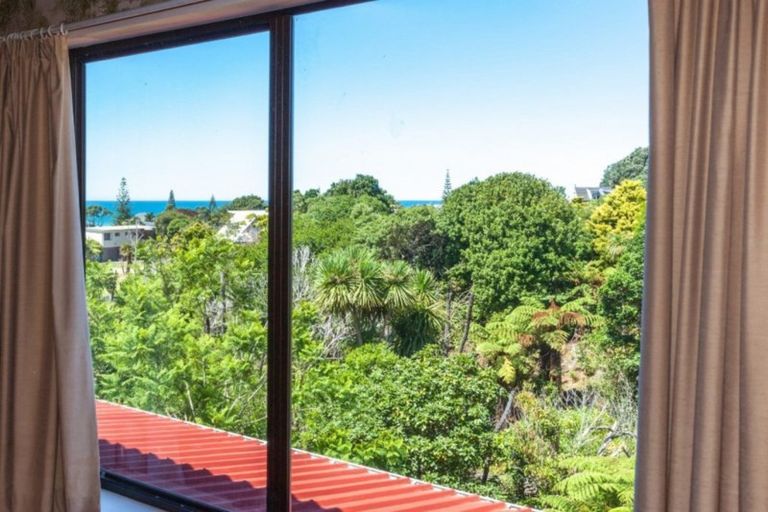 Photo of property in 111 Tuna Place, Onemana, Whangamata, 3691