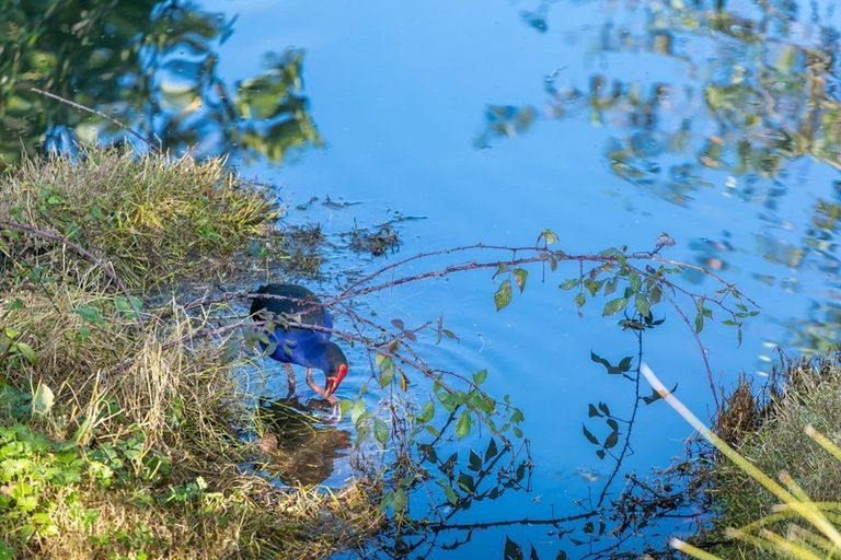 Photo of property in 6 Coleraine Drive, Rototuna, Hamilton, 3210