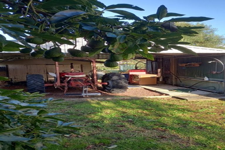 Photo of property in 12 Mako Street, Taupo Bay, Mangonui, 0494