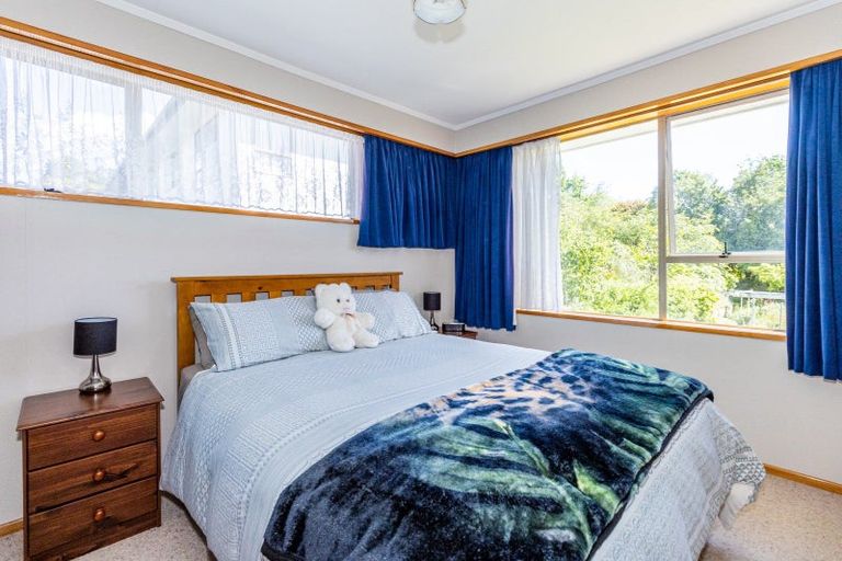 Photo of property in 22 Darby Street, Geraldine, 7930