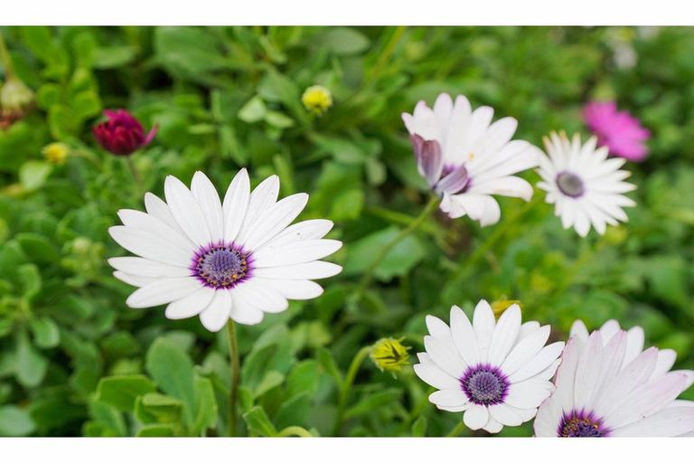 Photo of property in 49 Orwell Crescent, Newfield, Invercargill, 9812