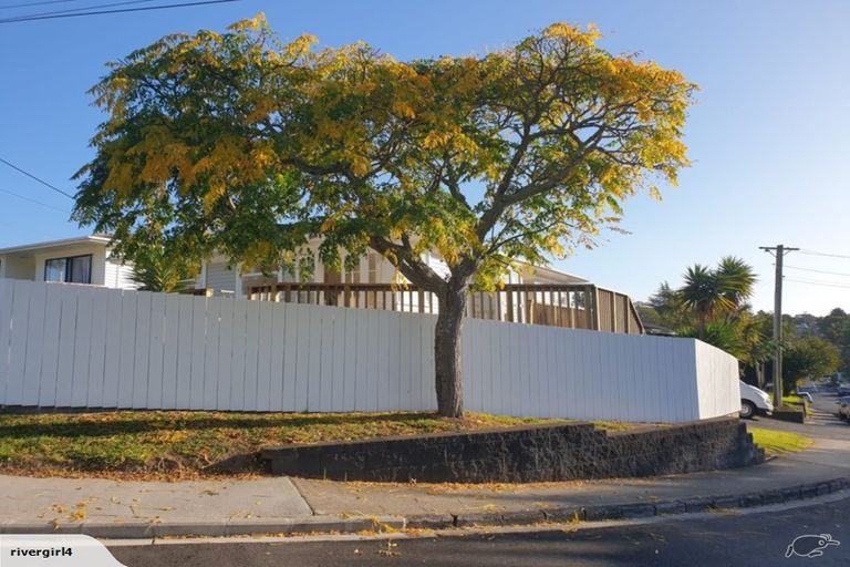 Photo of property in 20 Blease Street, New Lynn, Auckland, 0600