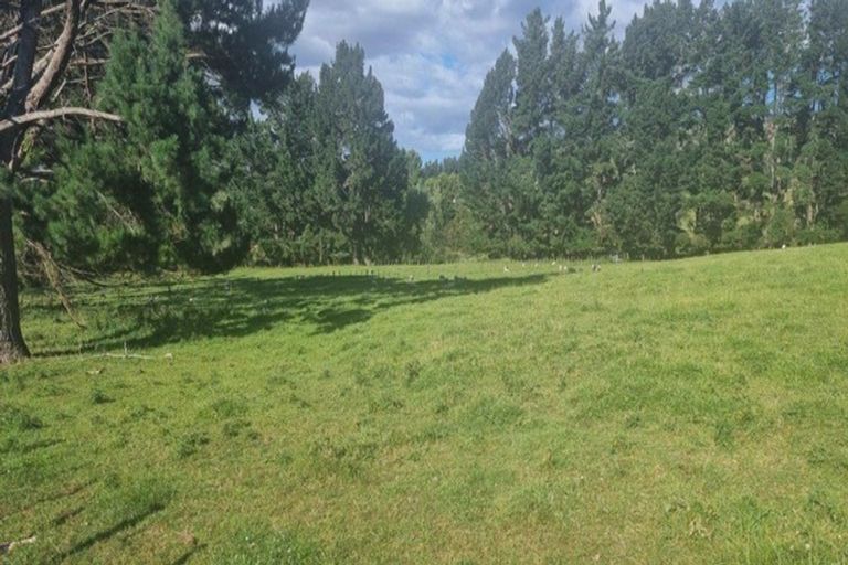 Photo of property in 216 Potts Road, Koputaroa, Levin, 5571