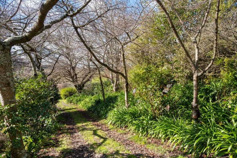 Photo of property in 339 Seafield Road, Eskdale, Napier, 4182