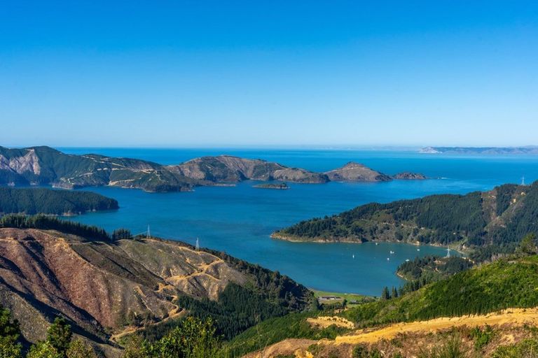 Photo of property in 23 Te Tio Terrace, Port Underwood, Picton, 7281