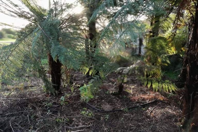 Photo of property in 87 Glasseye Drive, Little Wanganui, Karamea, 7893