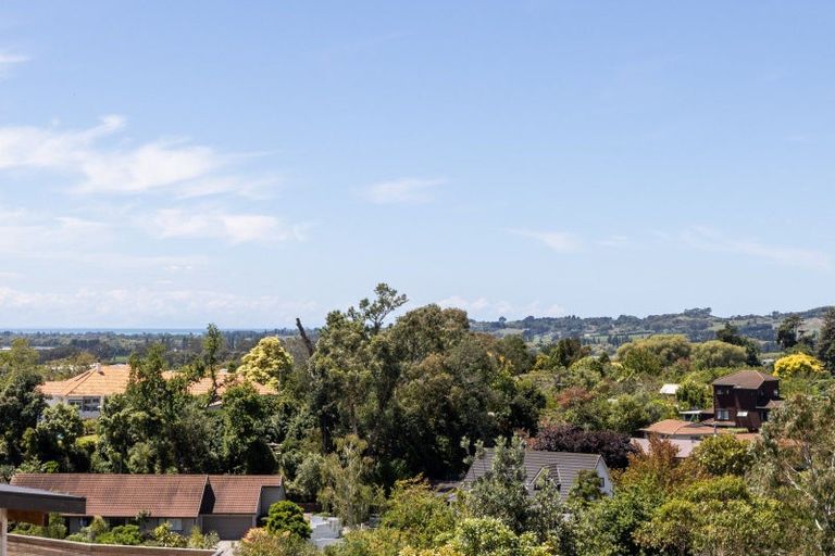 Photo of property in 12a Te Mata Peak Road, Havelock North, 4130