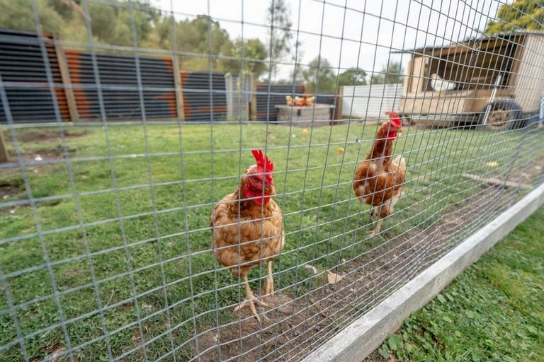 Photo of property in 28 Mawake Taupo Road, Kawerau, 3127