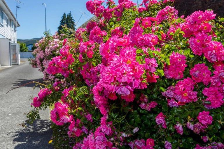 Photo of property in 4/768 Fergusson Drive, Elderslea, Upper Hutt, 5018