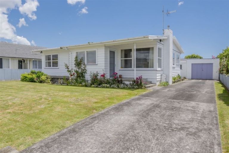 Photo of property in 33 Rugby Street, Levin, 5510