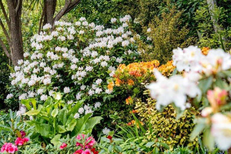 Photo of property in 249 Taieri Road, Wakari, Dunedin, 9010