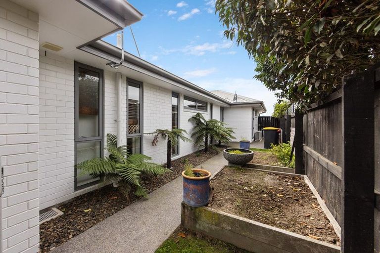 Photo of property in 43 Te Korari Street, Marshland, Christchurch, 8083