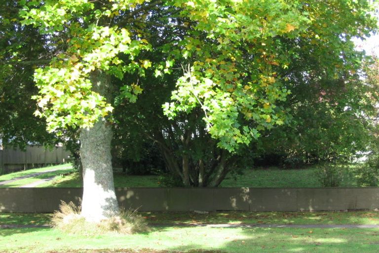 Photo of property in 215 West Parkdale Street, Tokoroa, 3420