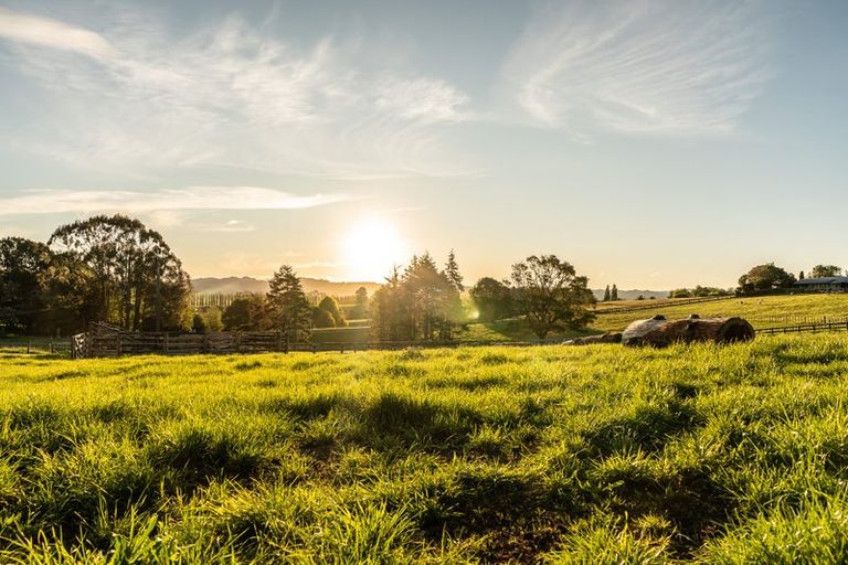 Photo of property in 21 Berkers Road, Ngahinapouri, Hamilton, 3290