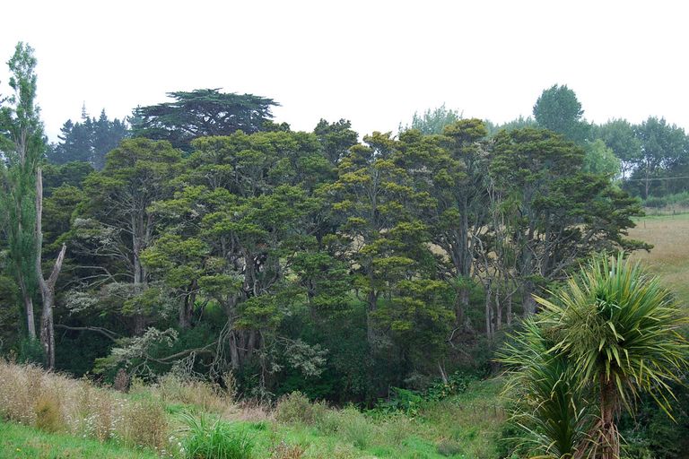 Photo of property in 32 Marshall Road, Kaiwaka, 0573