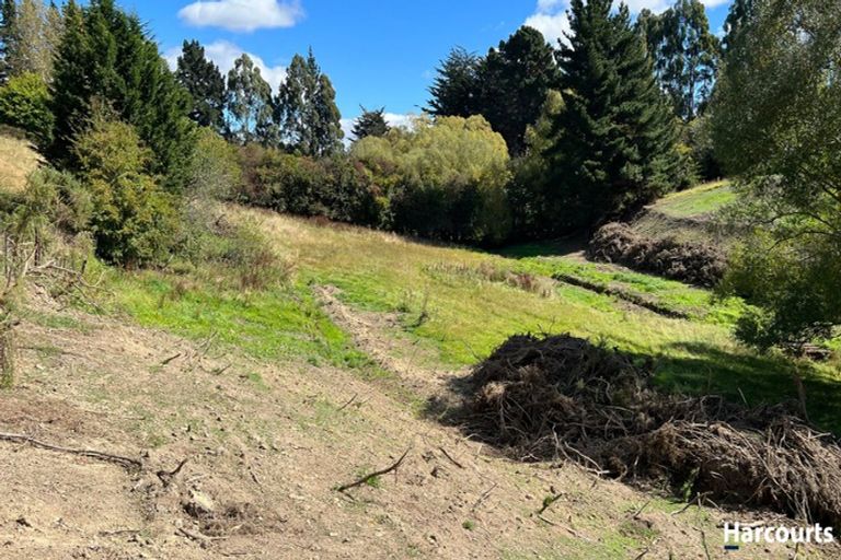 Photo of property in 72 Ronaldsay Street, Palmerston, 9430