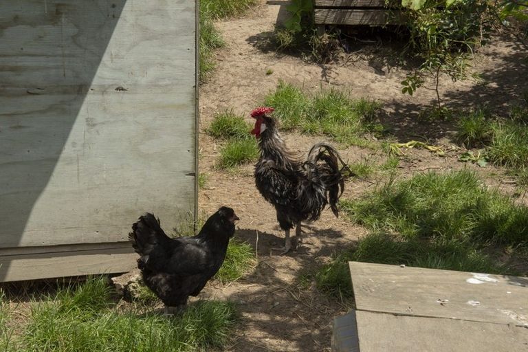 Photo of property in 12a Ormsby Lane, Omanawa, 3171