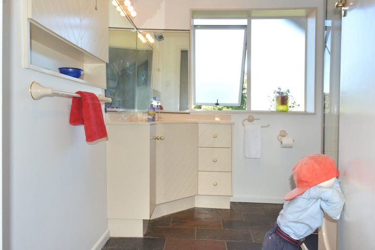 Photo of property in 17 Napier Street, Belleknowes, Dunedin, 9011