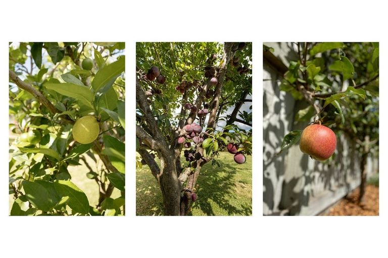 Photo of property in 306 Omokoroa Road, Omokoroa, 3114