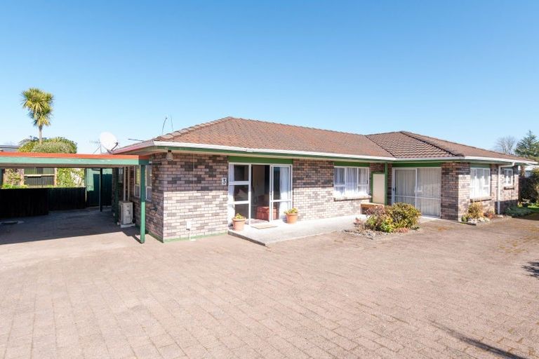 Photo of property in 33c King Street, Victoria, Rotorua, 3010