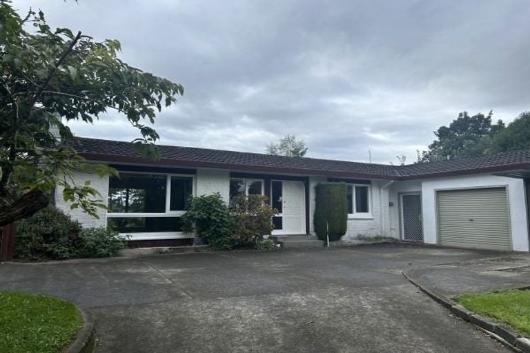Photo of property in 134 Buick Crescent, Awapuni, Palmerston North, 4412