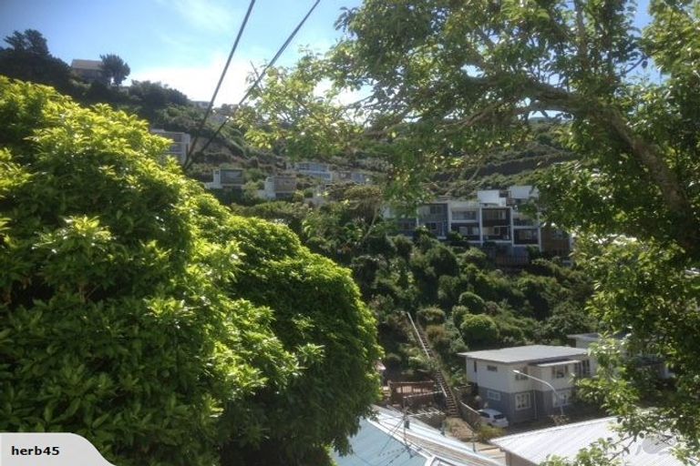 Photo of property in 307 Ohiro Road, Brooklyn, Wellington, 6021