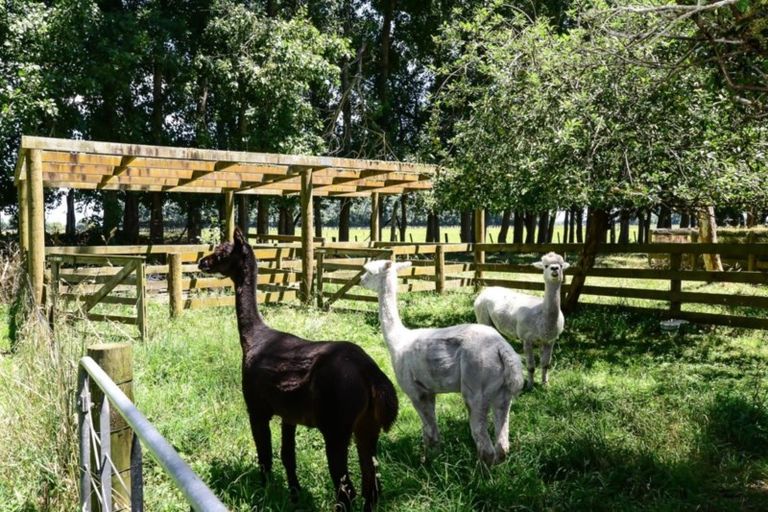 Photo of property in 134 Reynolds Road, Rotoorangi, Cambridge, 3495