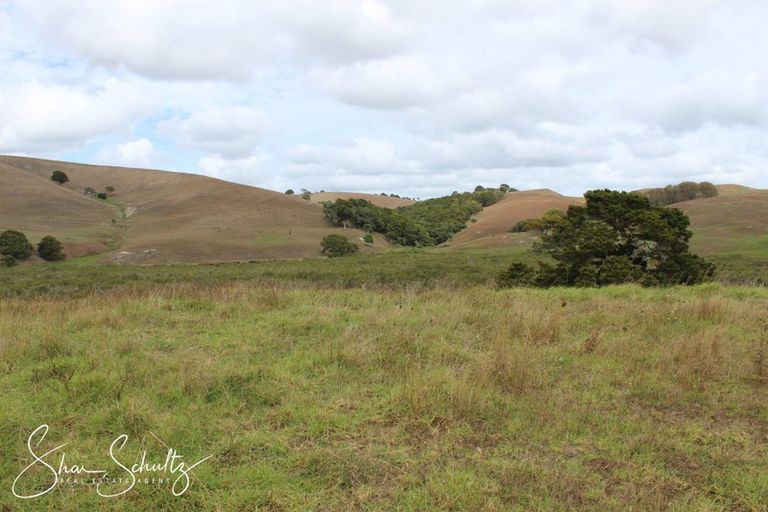 Photo of property in 215c Heatley Road, Whakapirau, 0583