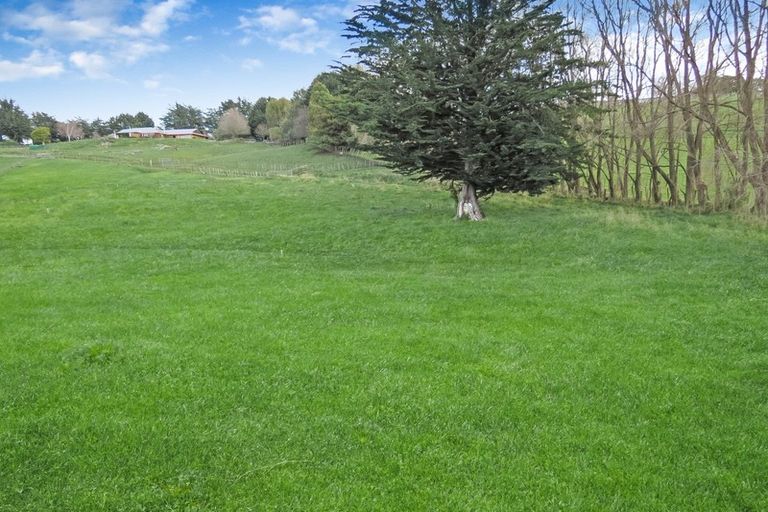 Photo of property in 17c Teal Avenue, Feilding, 4775
