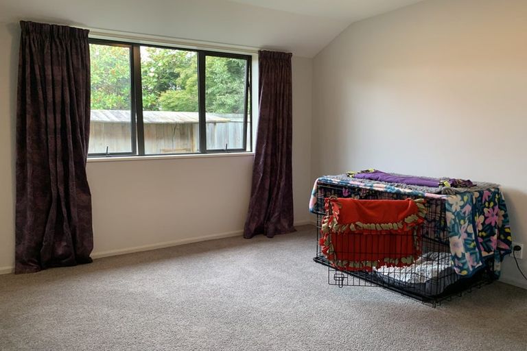 Photo of property in 4 Millibrook Place, Tinwald, Ashburton, 7700