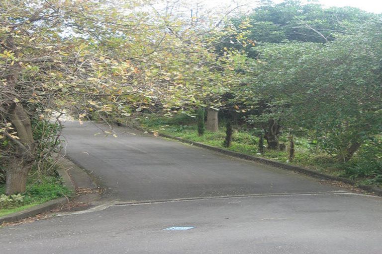 Photo of property in 65 Wellington Road, Paekakariki, 5034