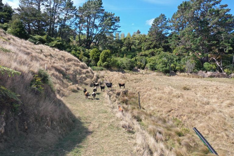 Photo of property in 1017 Waingaro Road, Glen Massey, 3793