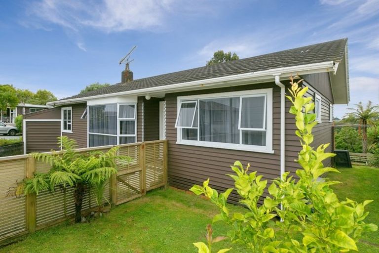 Photo of property in 19 Clyde Street, Ferndale, New Plymouth, 4310