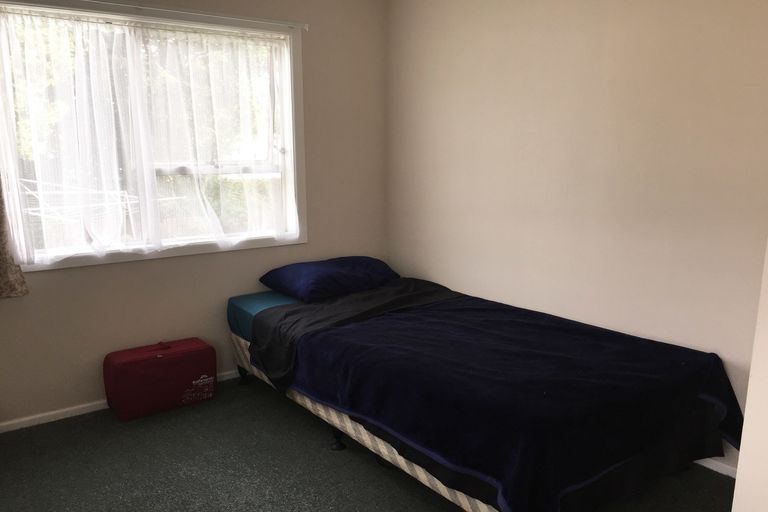 Photo of property in 161 Colgan Street, Te Awamutu, 3800