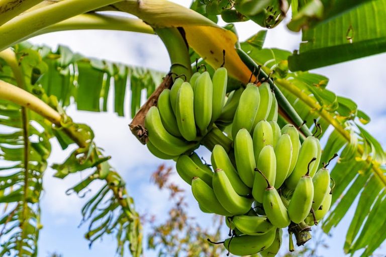 Photo of property in 1 Griffin Road, Maungaturoto, 0520