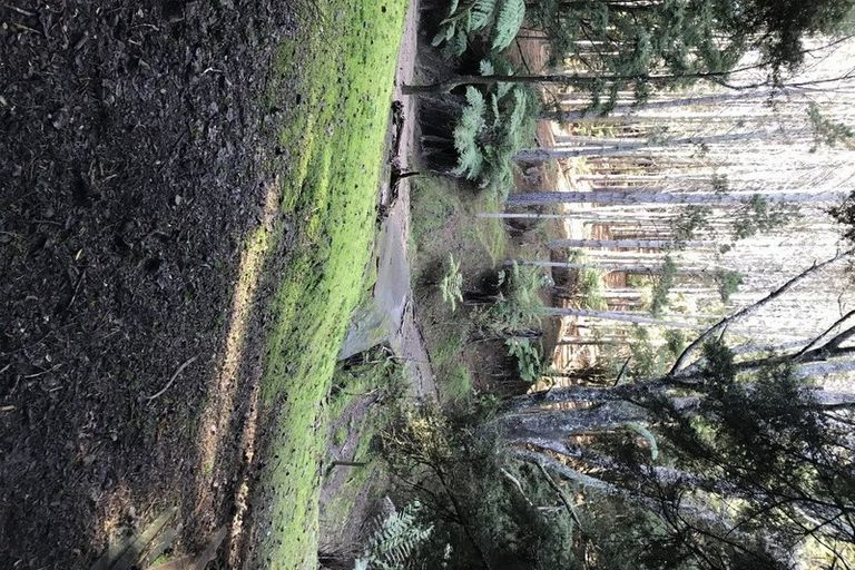 Photo of property in 75 Parakiore Road, Ngararatunua, Whangarei, 0176